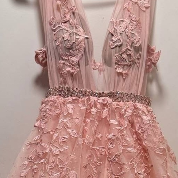 Elegant Pink Lace V-Neck Ball Gown Dress - Picture 4 of 5